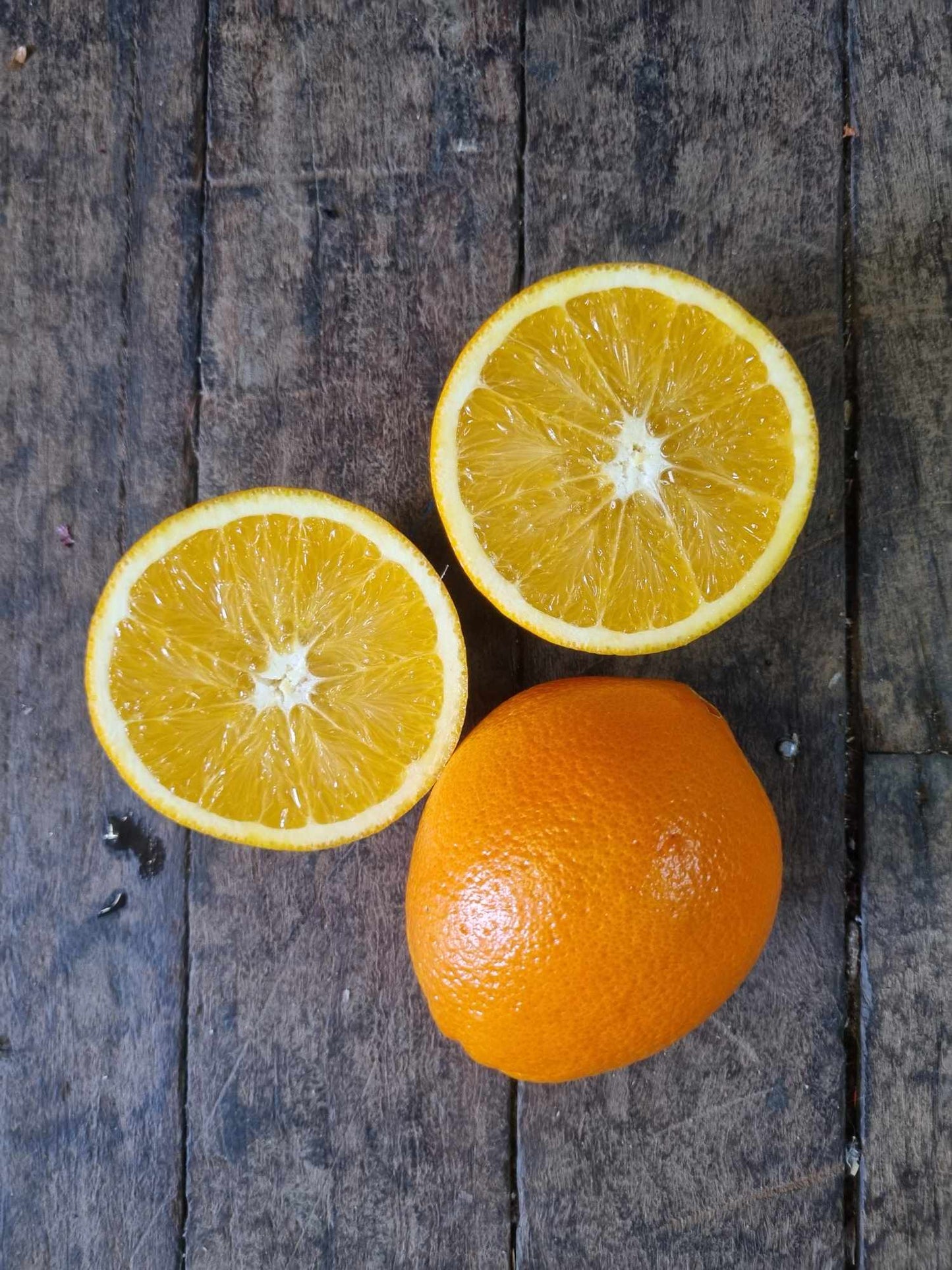 Oranges kg