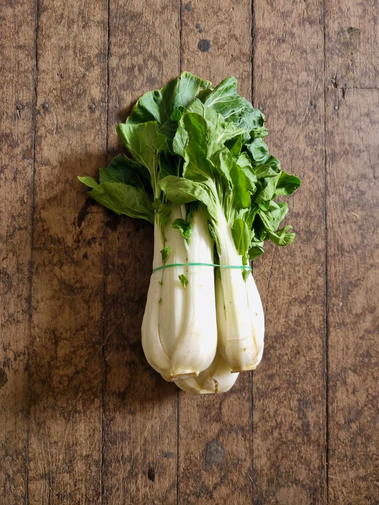 Asian Greens Bunch: Pak Choy or Bok Choy
