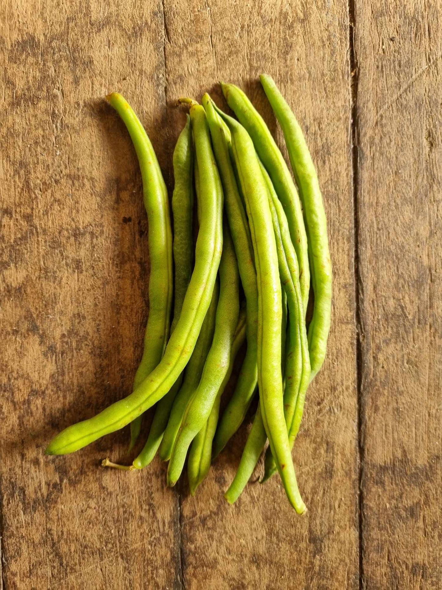 Stringless Green Beans price per kg