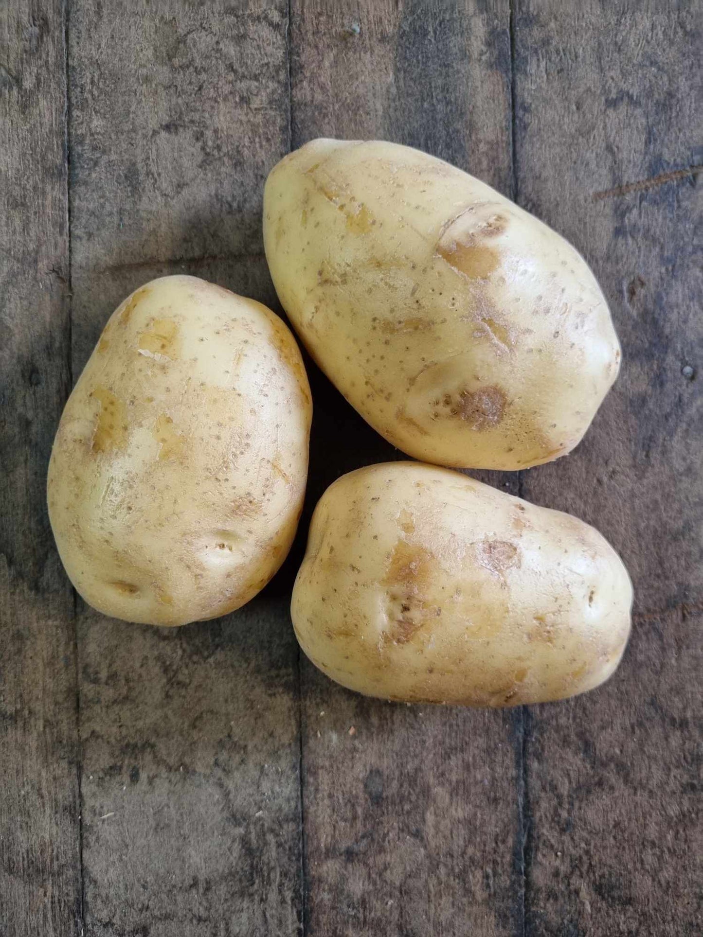 Potato Large Kg