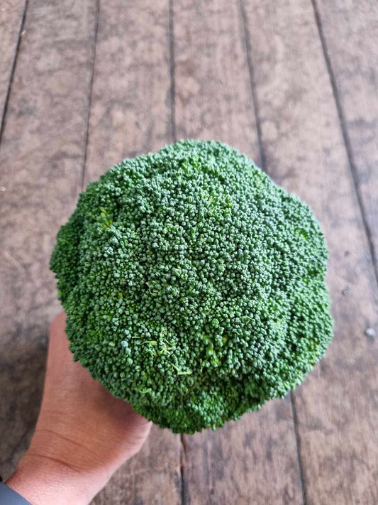 Broccoli kg