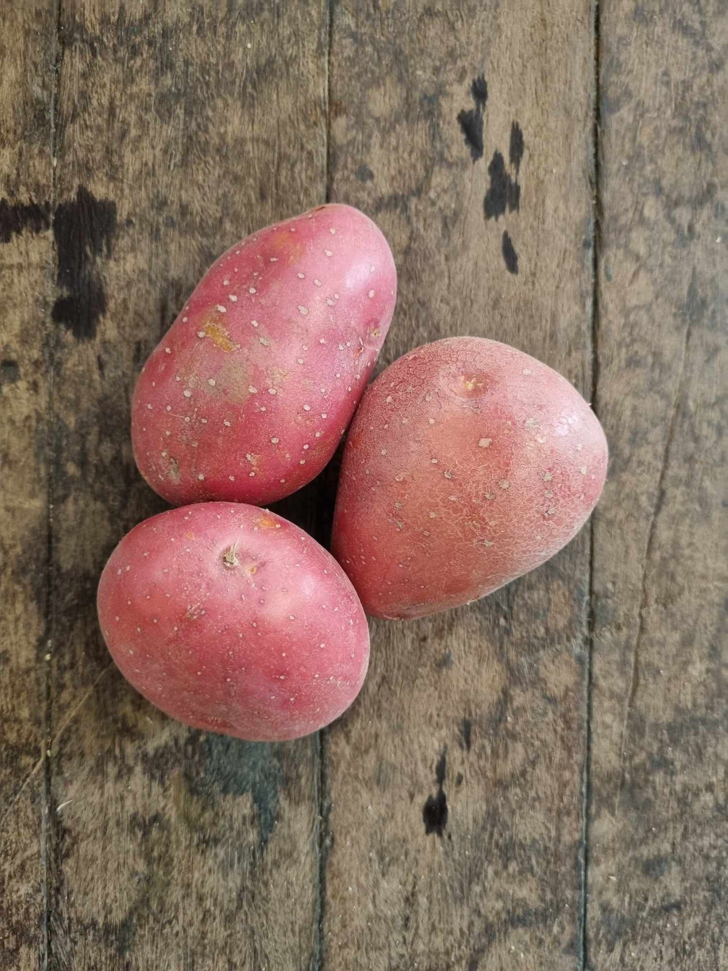 Potato Red kg