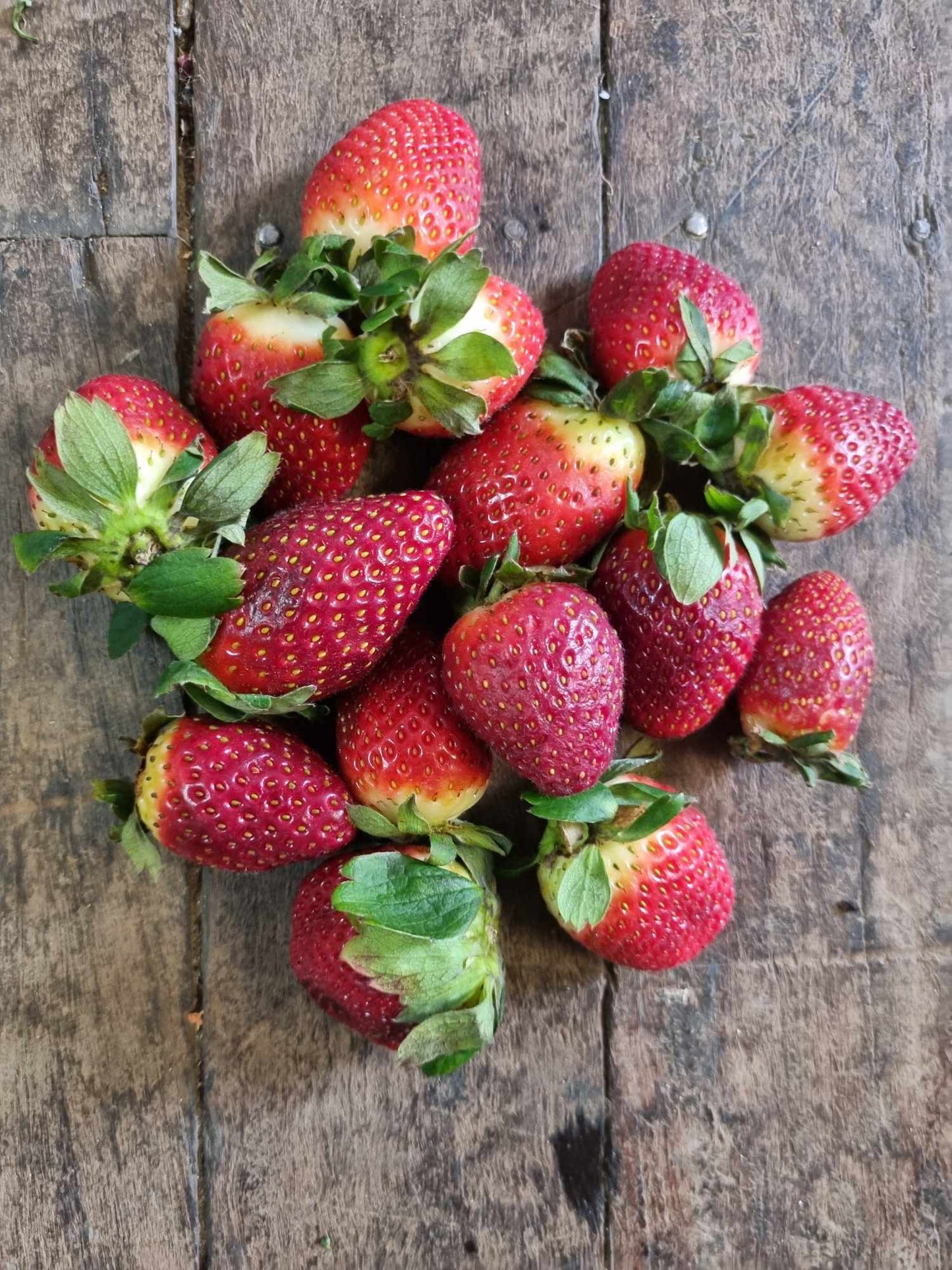 Strawberries 250g punnet