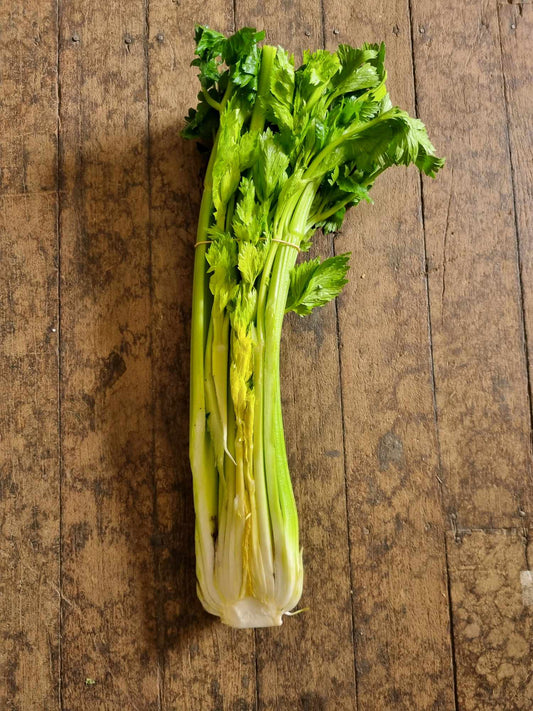 Celery Half