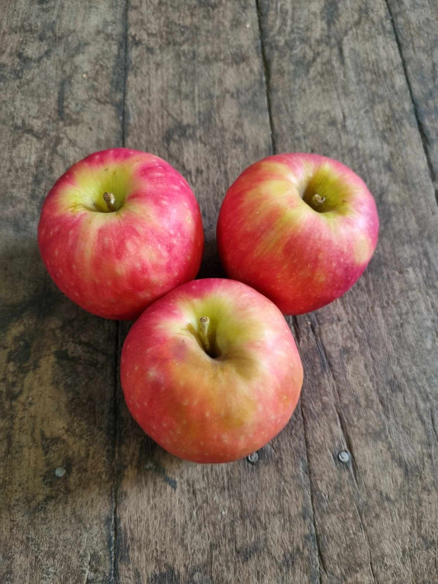 Pink Lady Apples kg