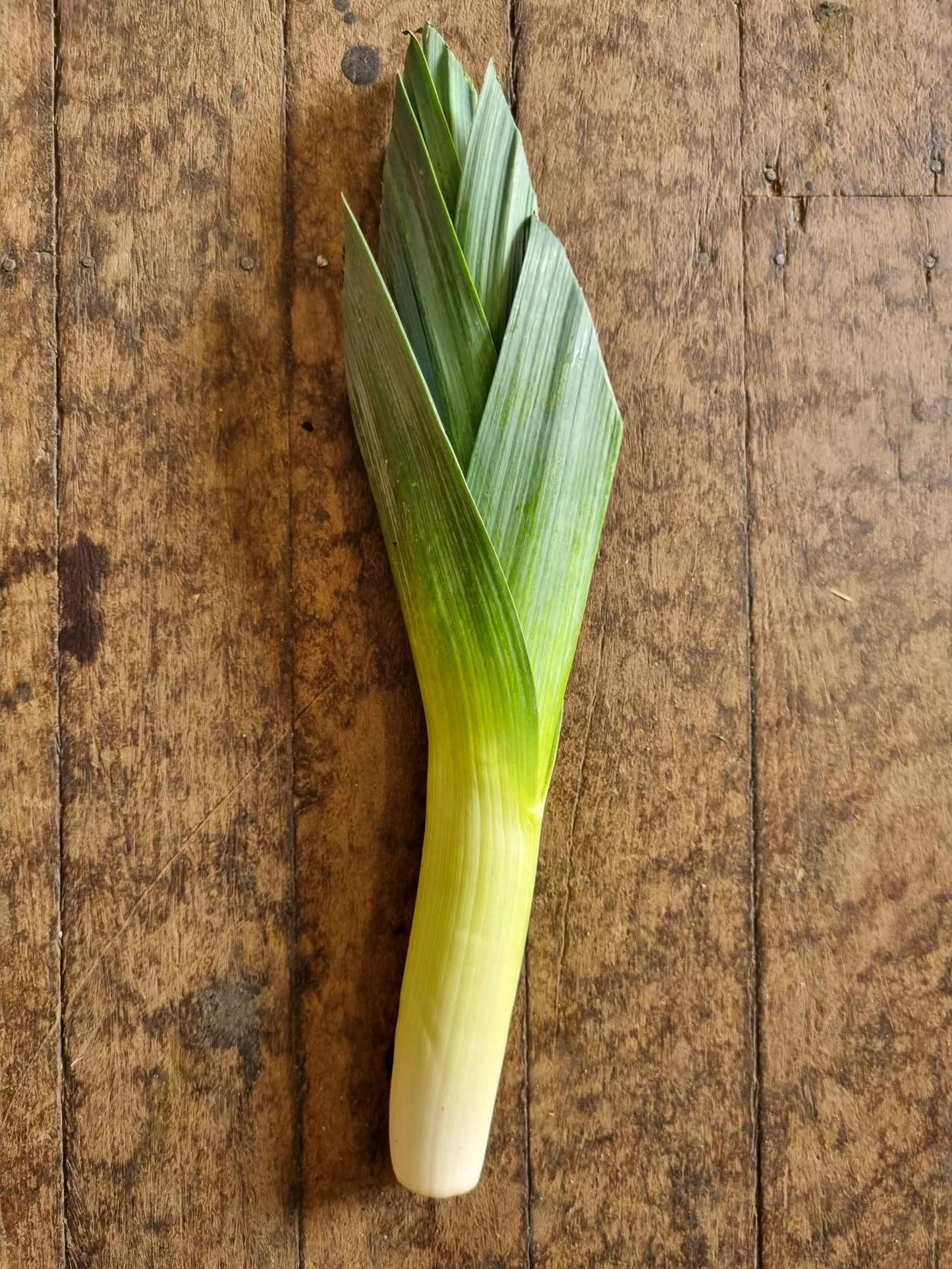 Leeks