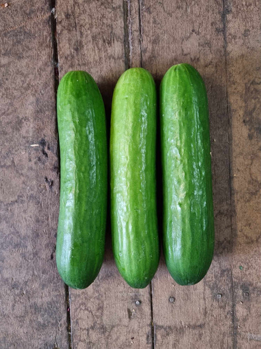 Cucumber Lebanese each