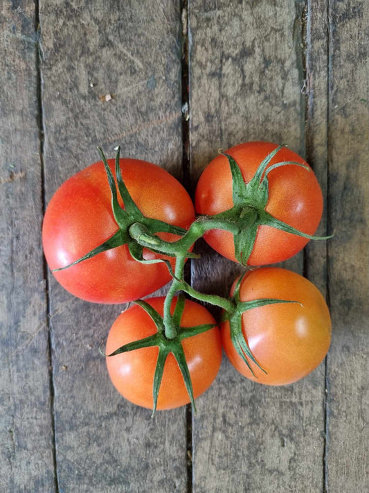 Tomato Truss