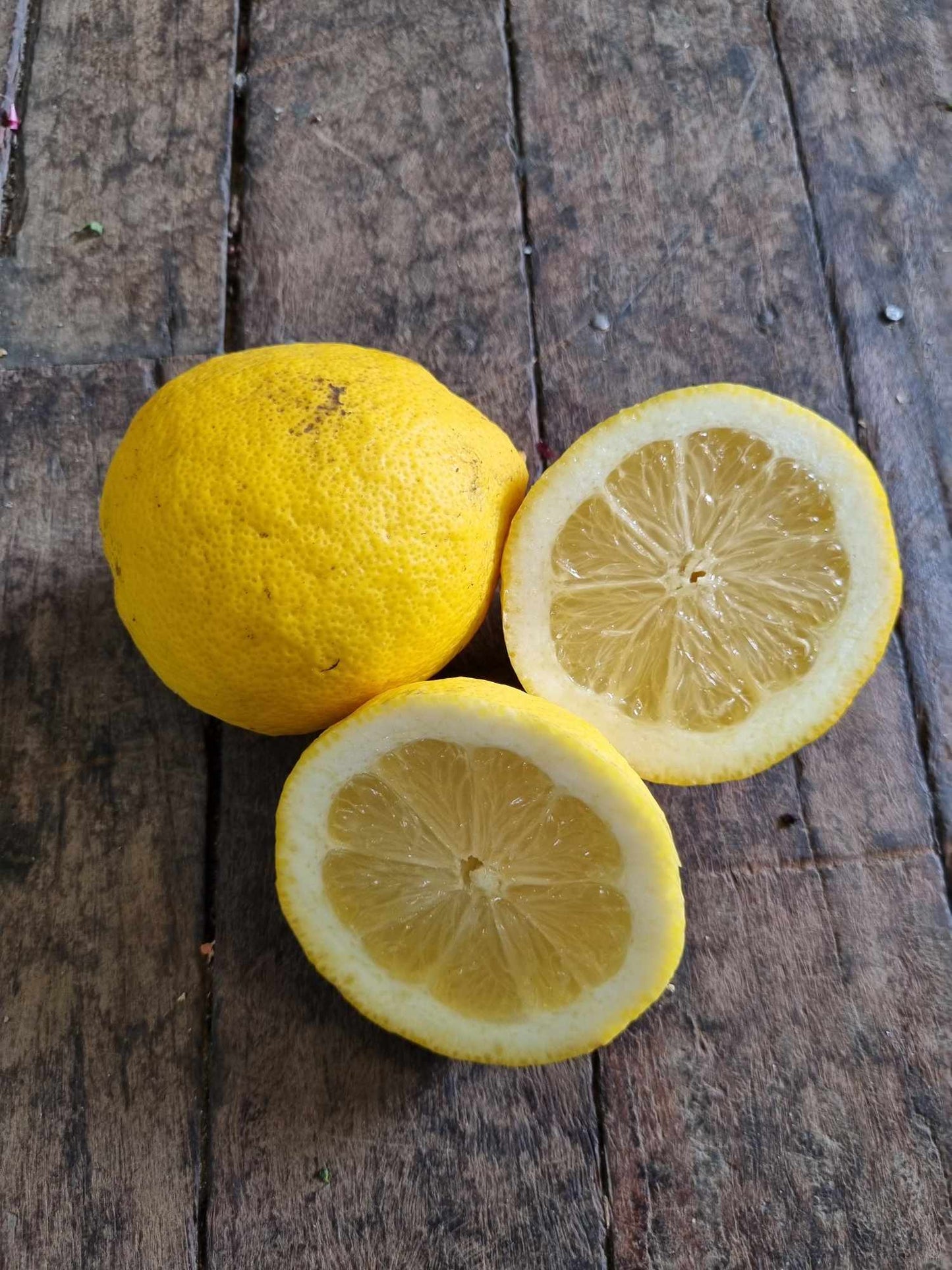 Lemon local kg