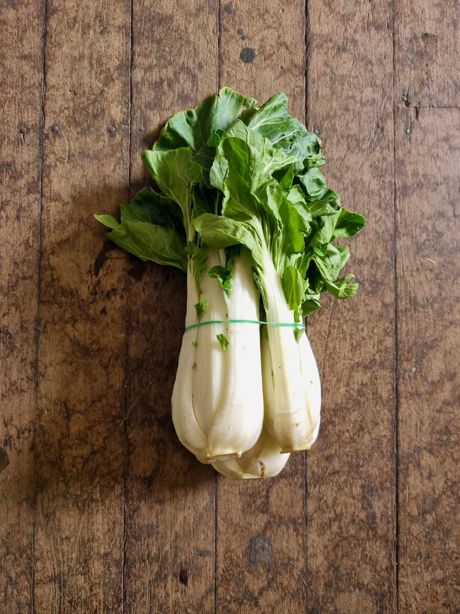 Asian Greens Bunch: Pak Choy or Bok Choy 