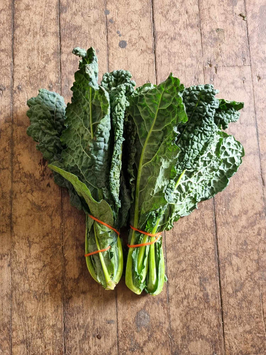 Tuscan Kale