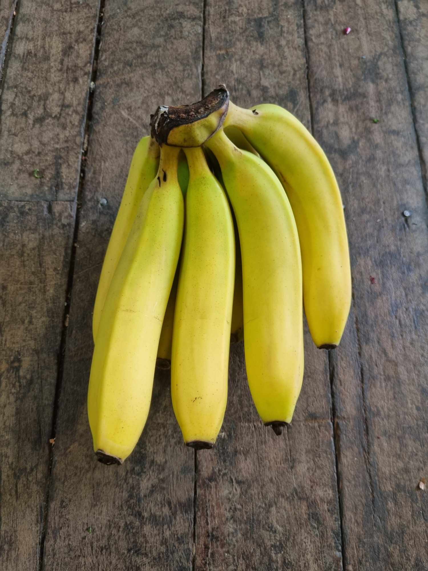 Bananas kg