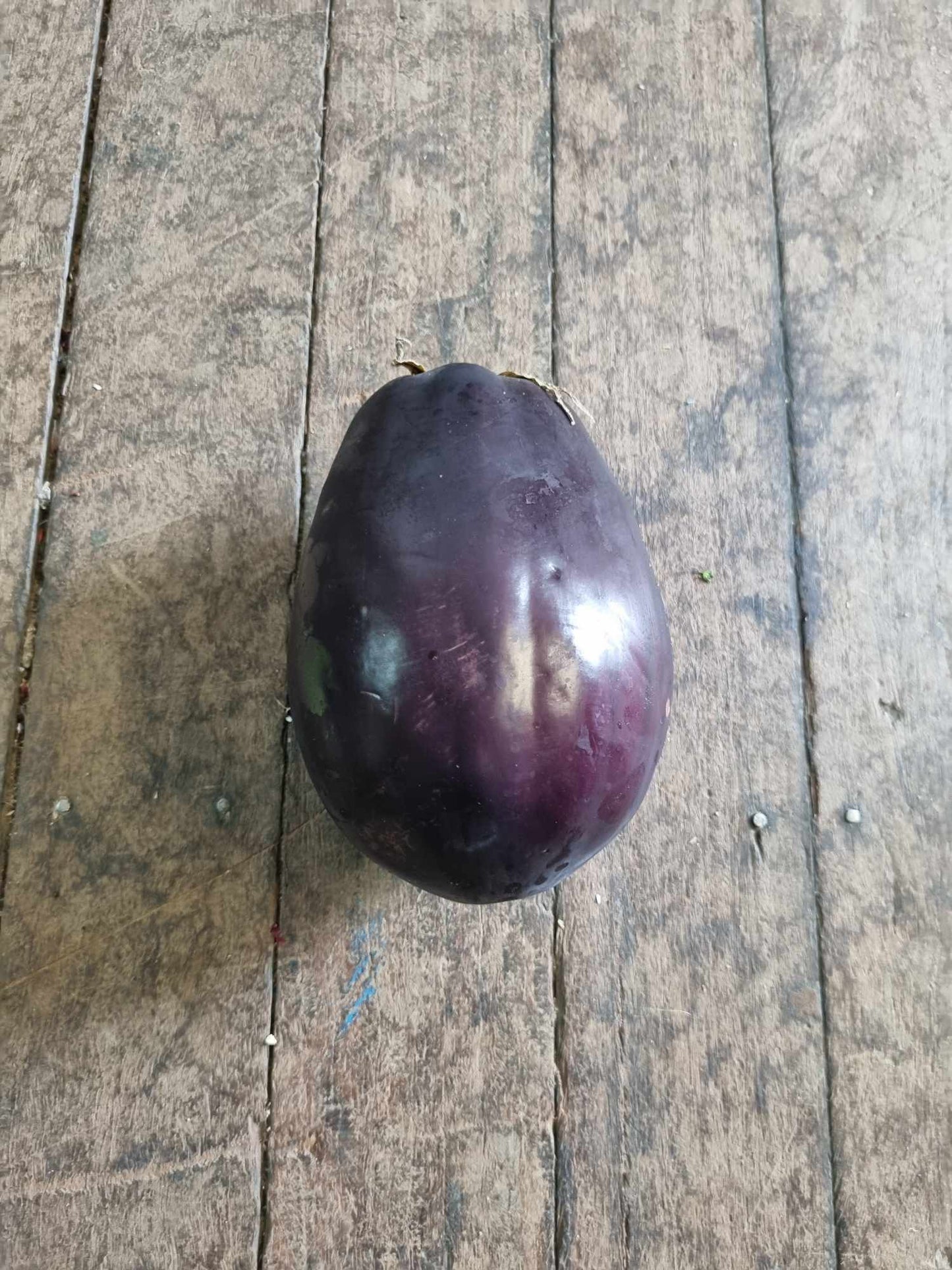 Eggplant