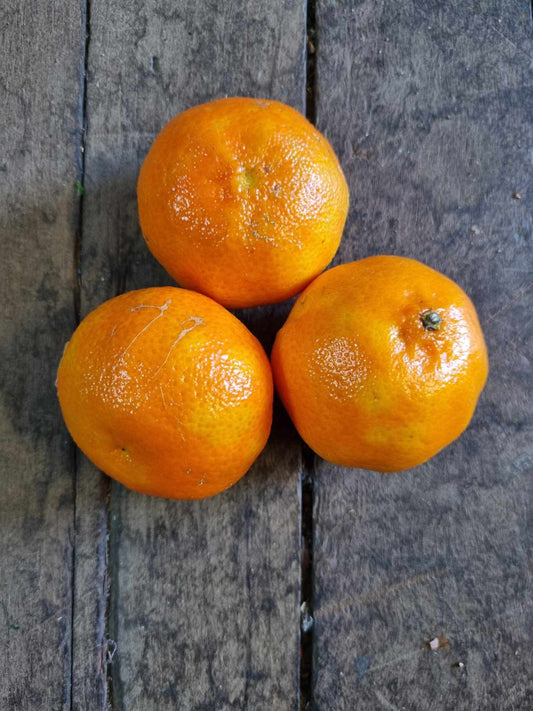 Mandarins kg