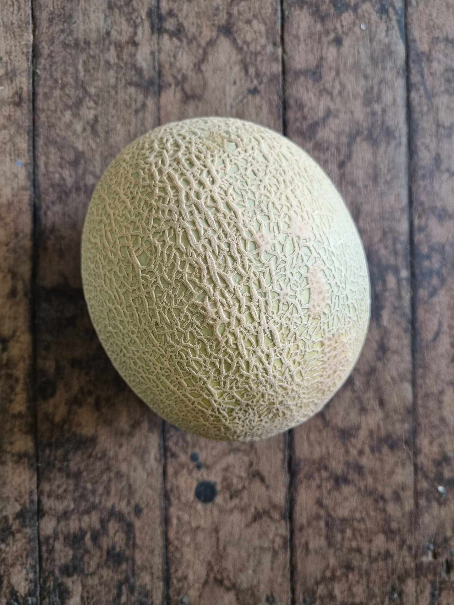 Rockmelon whole