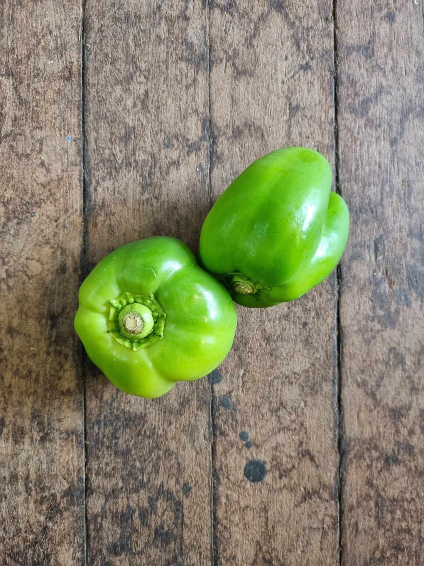 Capsicum green kg