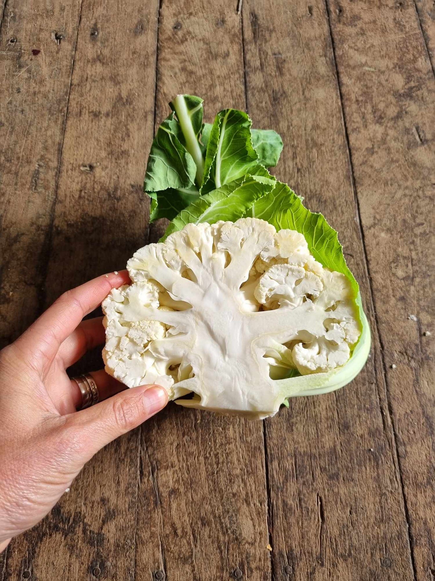 Cauliflower half