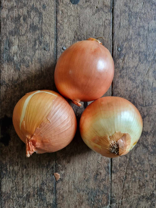 Onions Brown kg