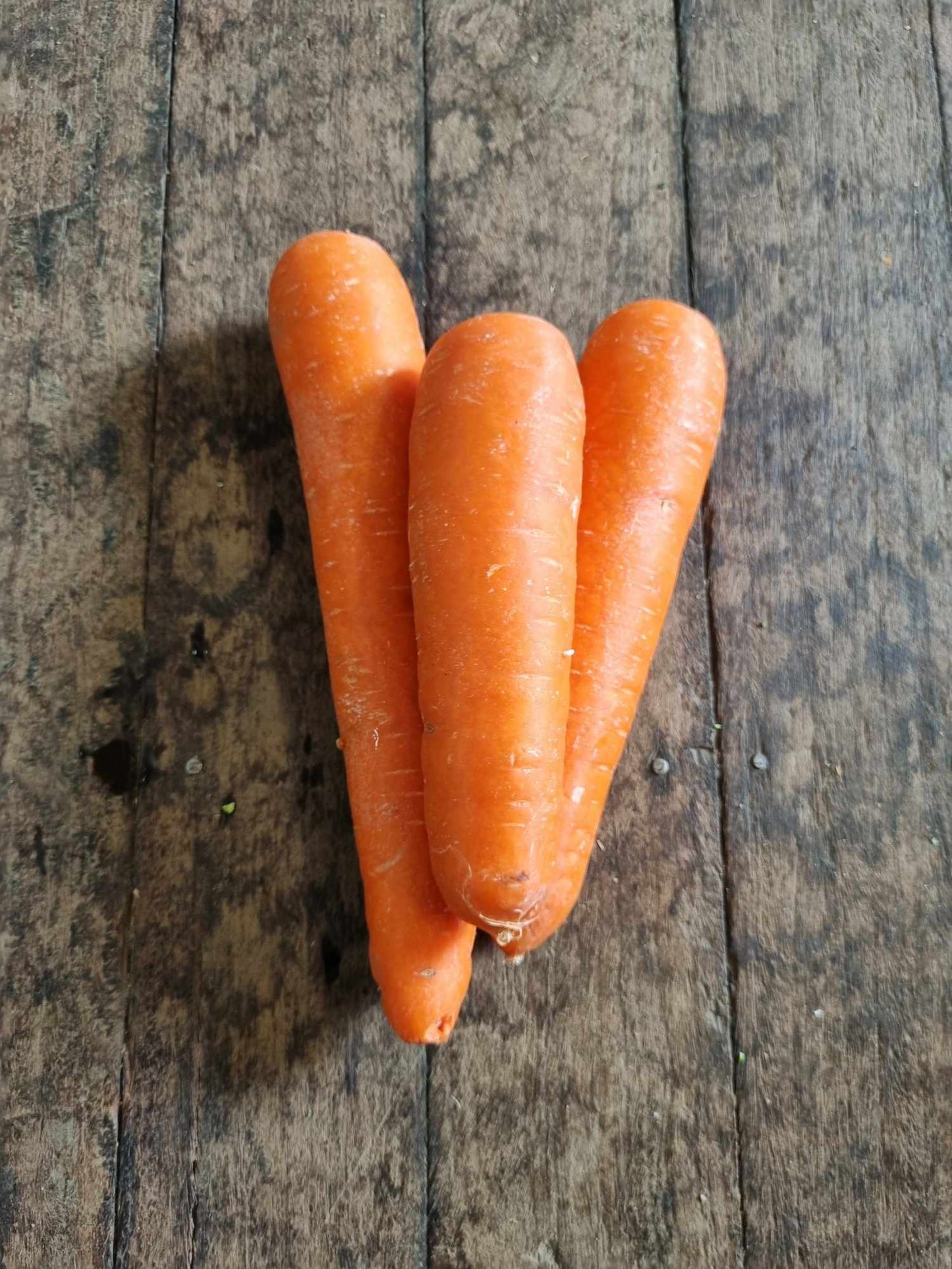 Carrots Large kg