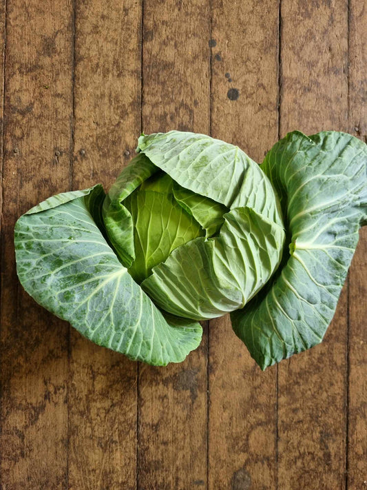 Green Cabbage whole