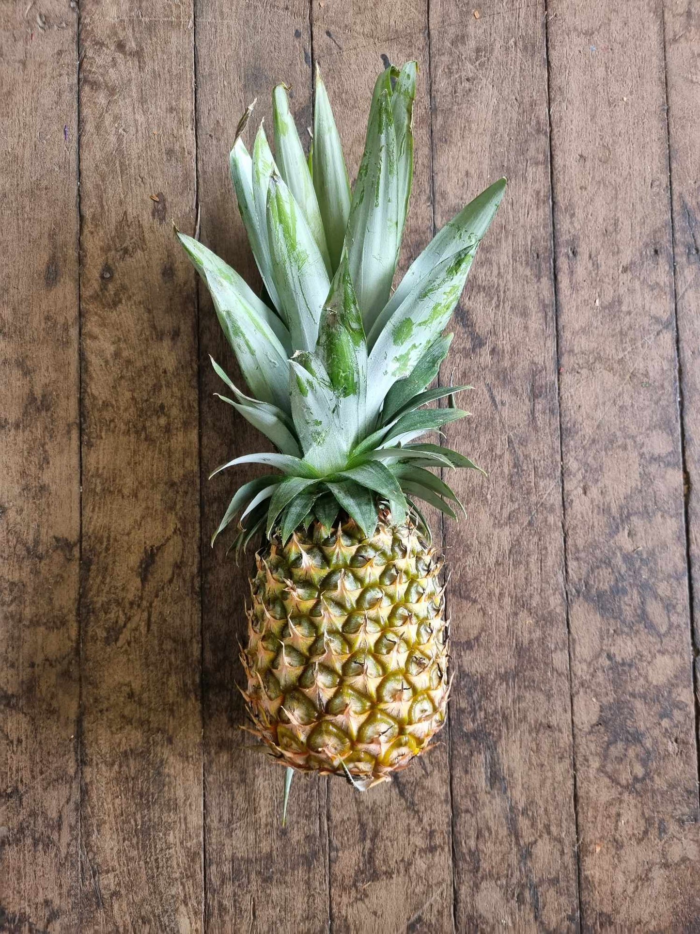 Pineapple