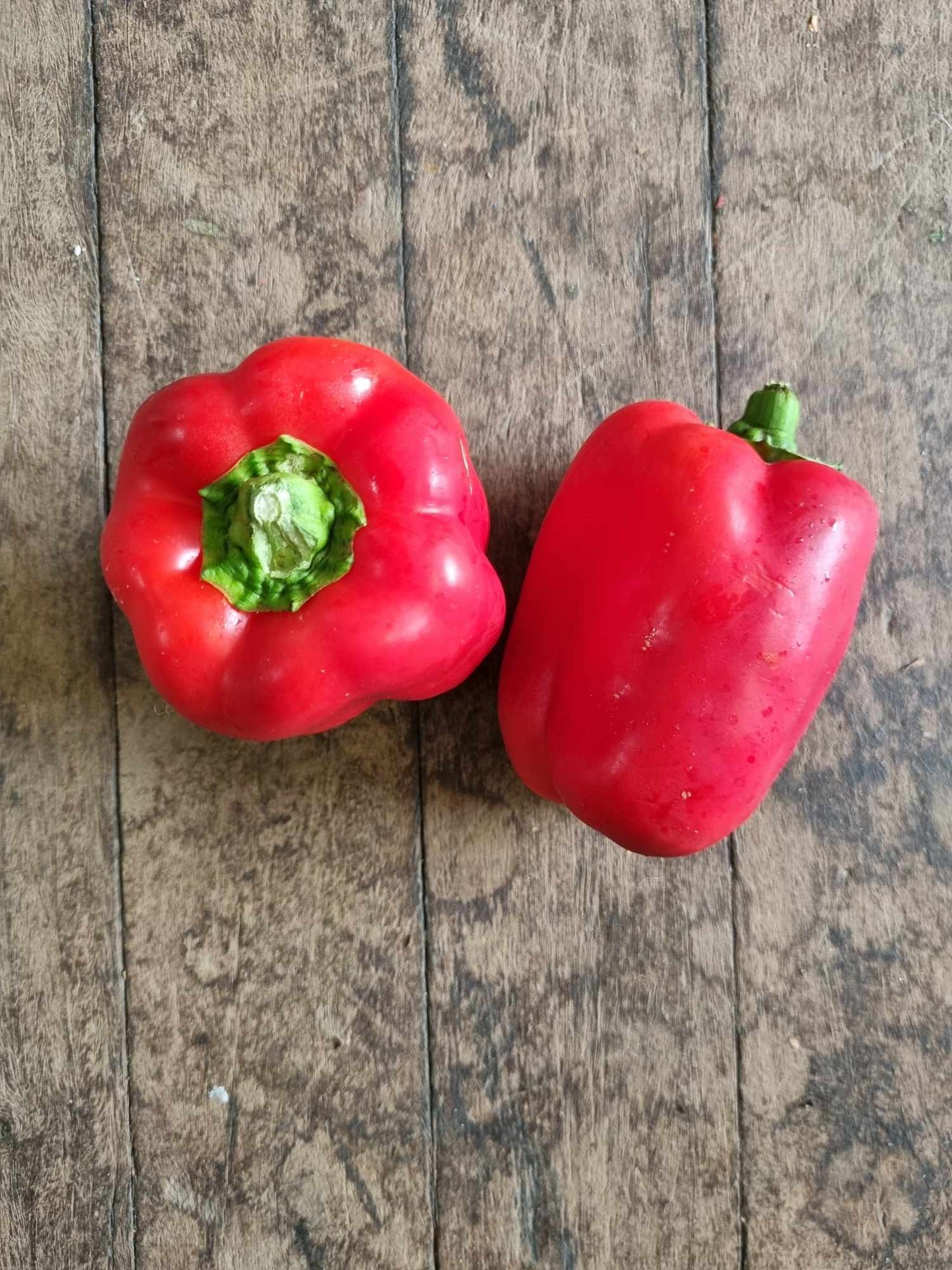 Capsicum Red kg