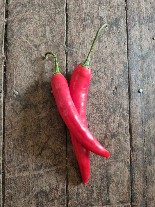 Chillies Red each