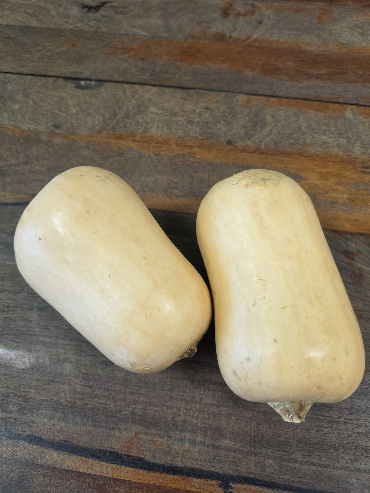 Butternut Pumpkin