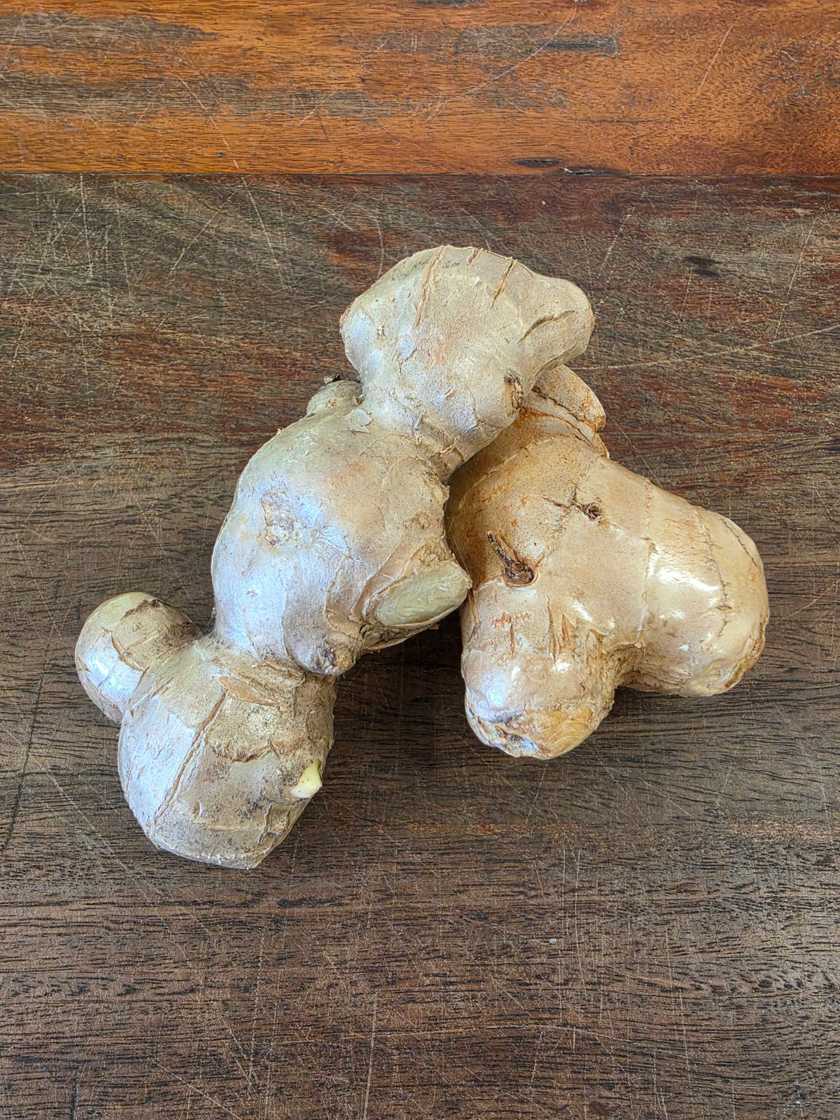 Ginger