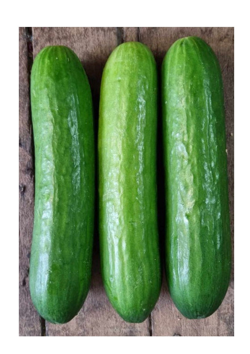 Cucumber Lebanese